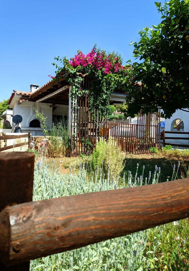 Koel Country House Ano Almiri Exterior foto